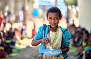 Tsehafe