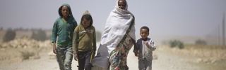 Zero Hunger Film