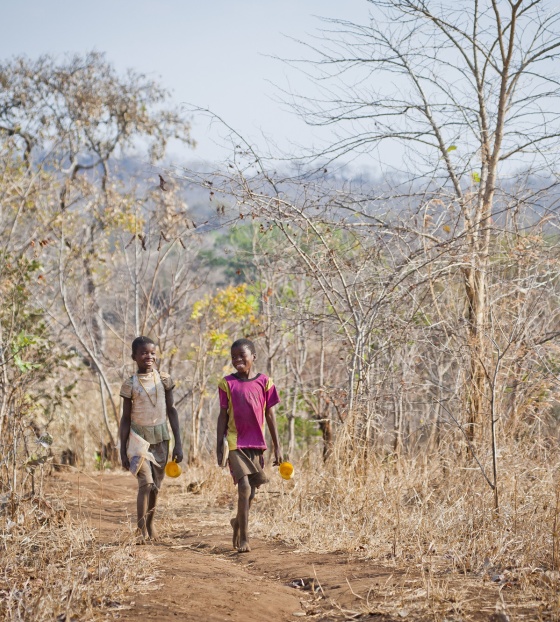 Schoolboys in landscape