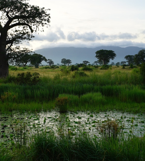 Landscape lake