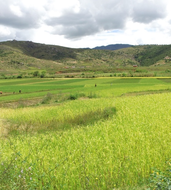 Landscape Madagascar